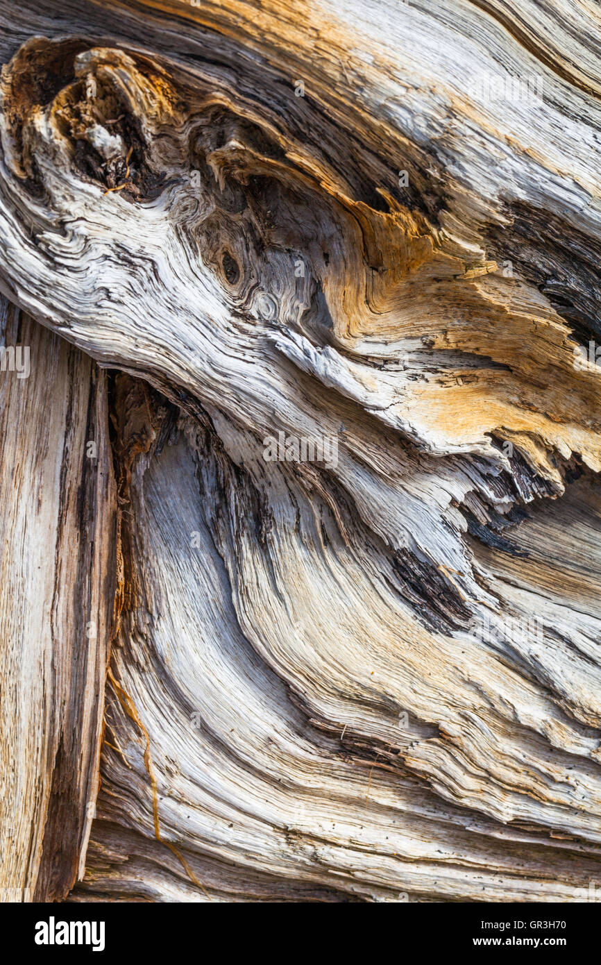 Driftwood natural art hi-res stock photography and images - Alamy