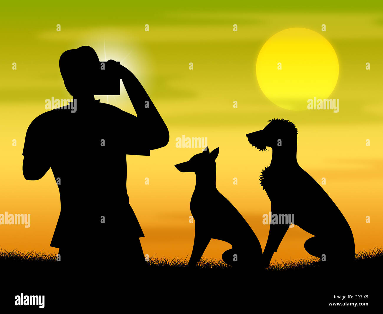 Dogs Photo Representing Camera Photography And Snapshots Stock Photo