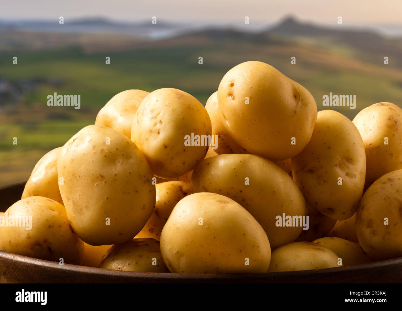 Early potatoes hi-res stock photography and images - Alamy