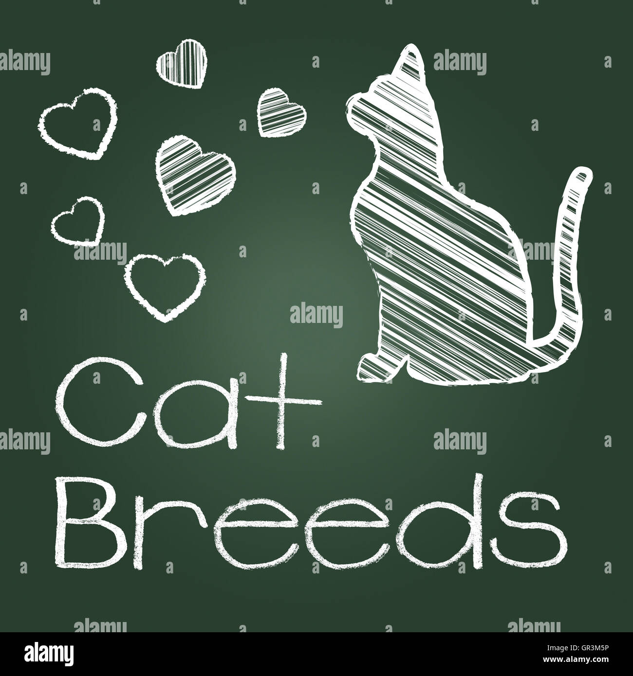 Cat breeds hi-res stock photography and images - Alamy