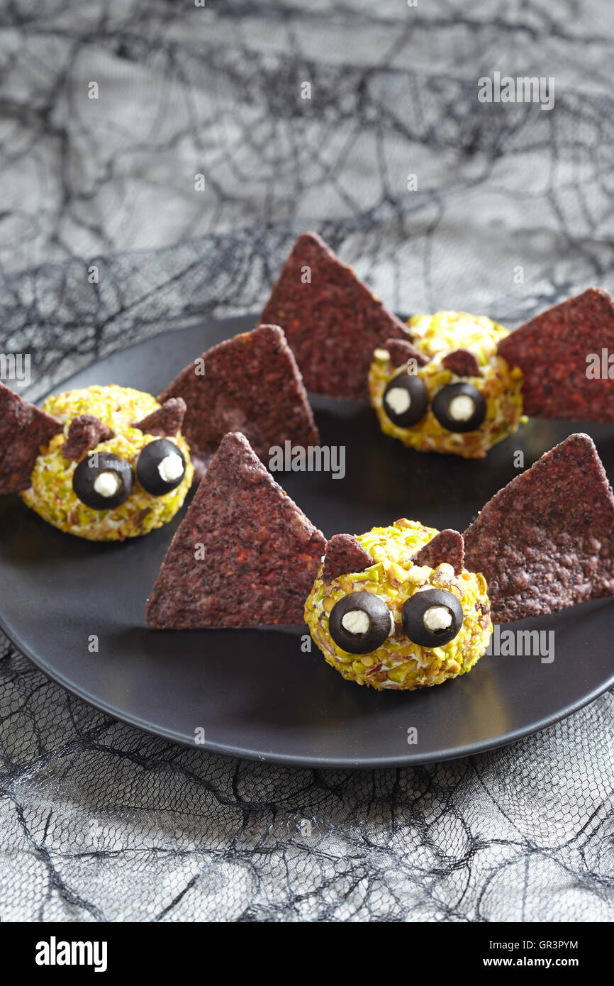 Cute bat cheese ball for Halloween party Stock Photo