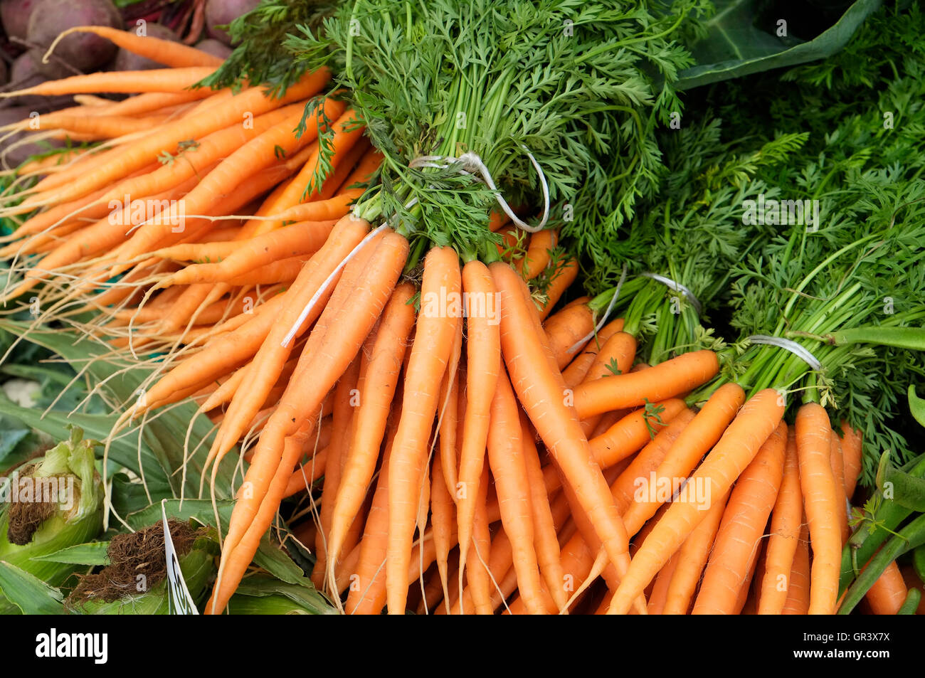 organic carrots on market stall, norfolk, england Stock Photo