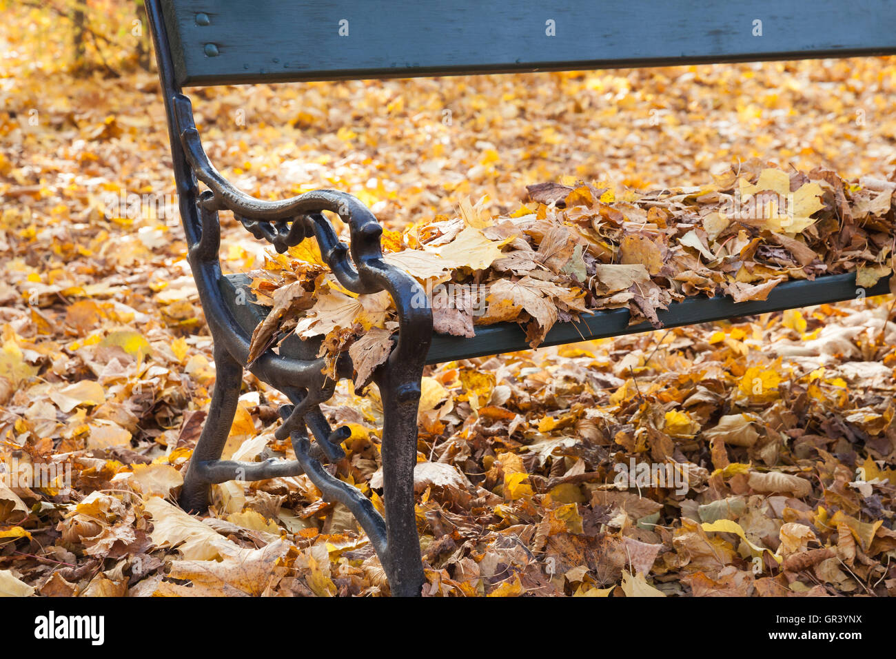 Vintage park bench with bright yellow autumn leaves Stock Photo - Alamy