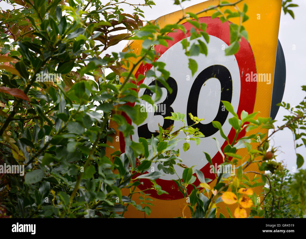 A 30 MPH traffic sign obscured by bushes Stock Photo