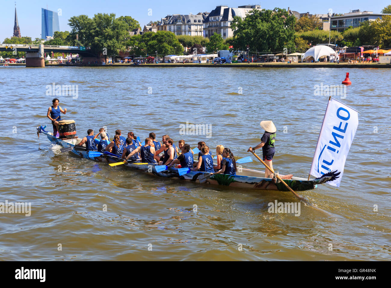 Dragon boat race on the River Main, during the Museumsuferfest (Museum Embankment) Festival in Frankfurt am Main, Germany Stock Photo