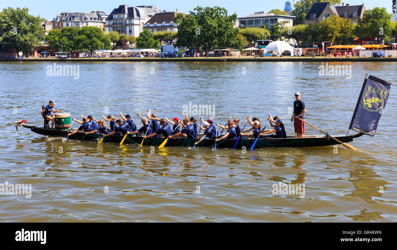 Dragon boat race on the River Main, during the Museumsuferfest (Museum Embankment) Festival in Frankfurt am Main, Germany Stock Photo
