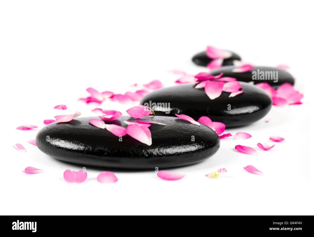 Spa stones with rose petals Stock Photo - Alamy