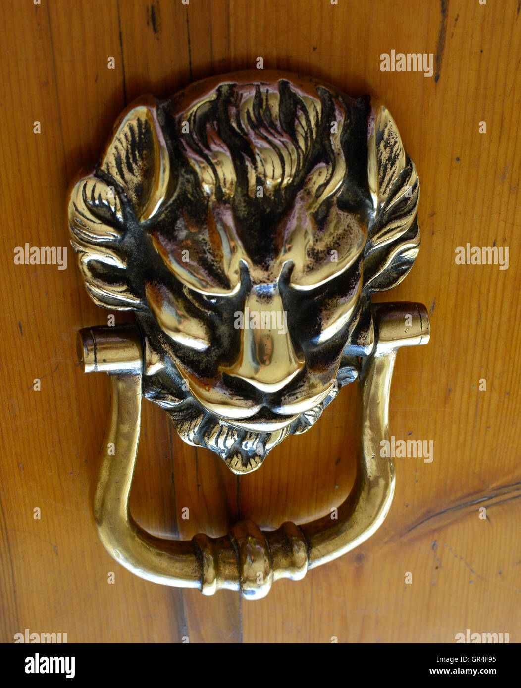 Copper lion head knocker on oregon pine wood. Welcome. Come on in. Knocking on my door. Come knocking. Knock on wood. Down view. Stock Photo