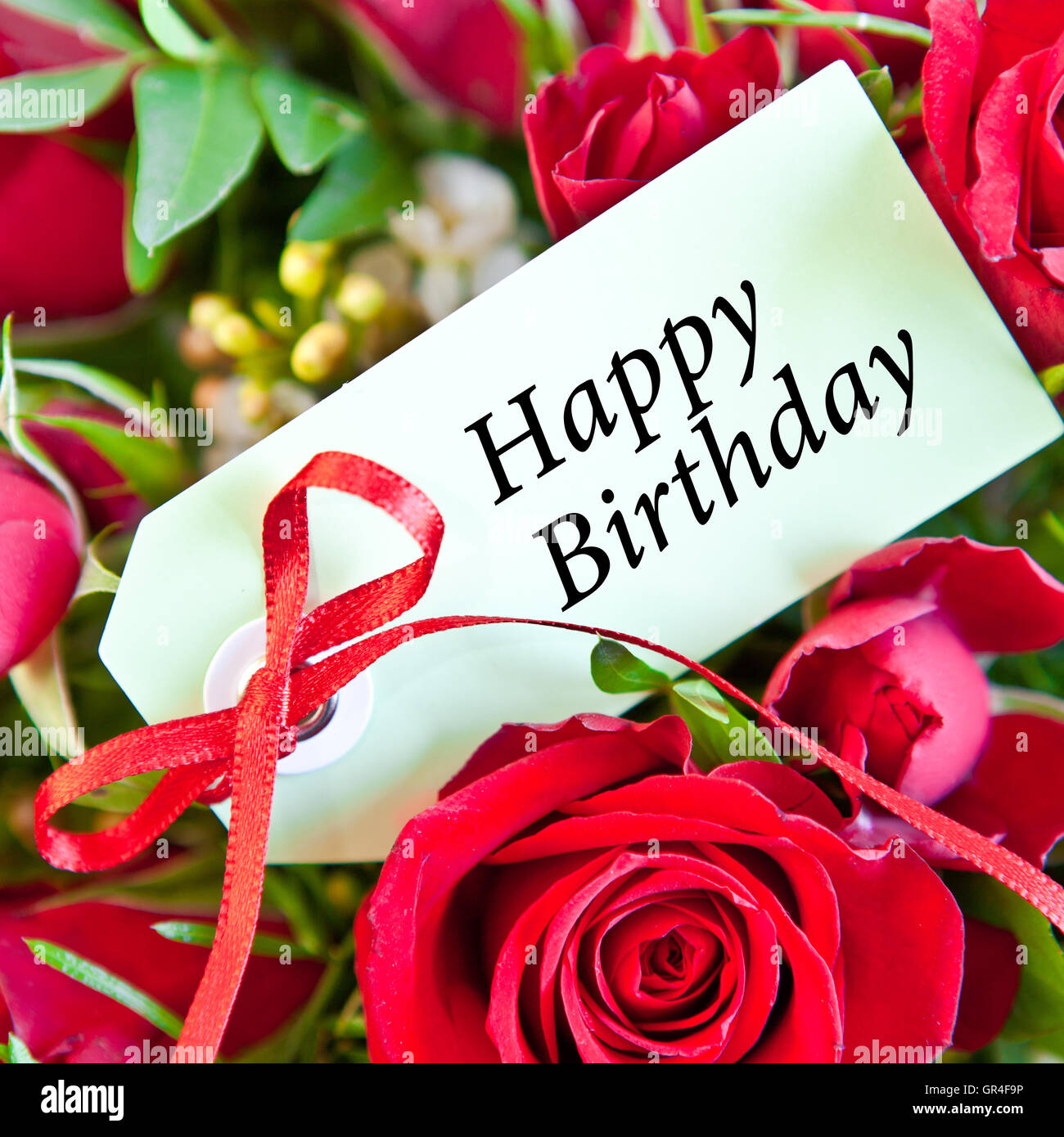 Red Roses for a happy birthday Stock Photo: 117499138 - Alamy