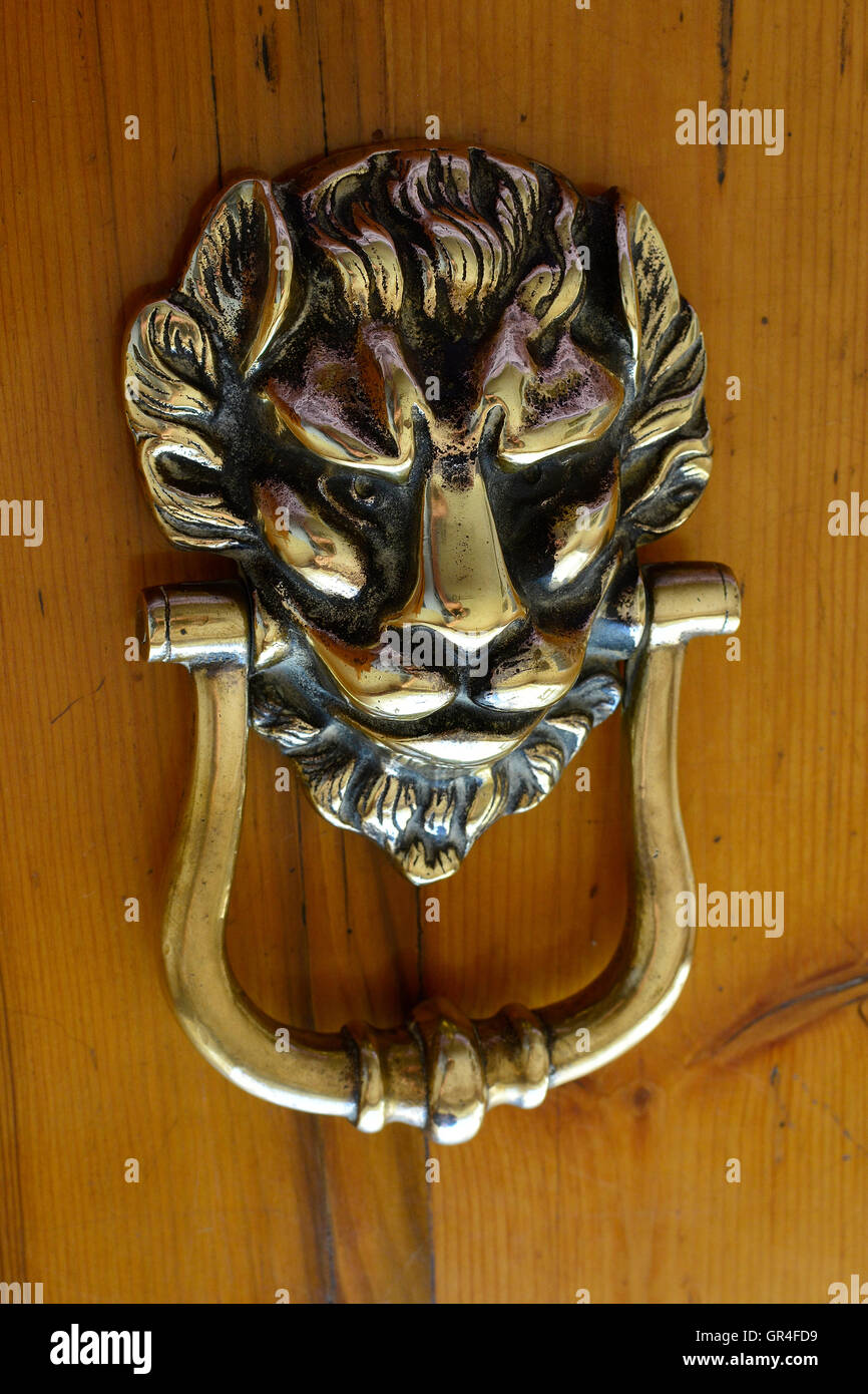 Copper lion head knocker on oregon pine wood. Welcome. Come on in. Knocking on my door. Come knocking. Knock on wood. Eye view. Stock Photo