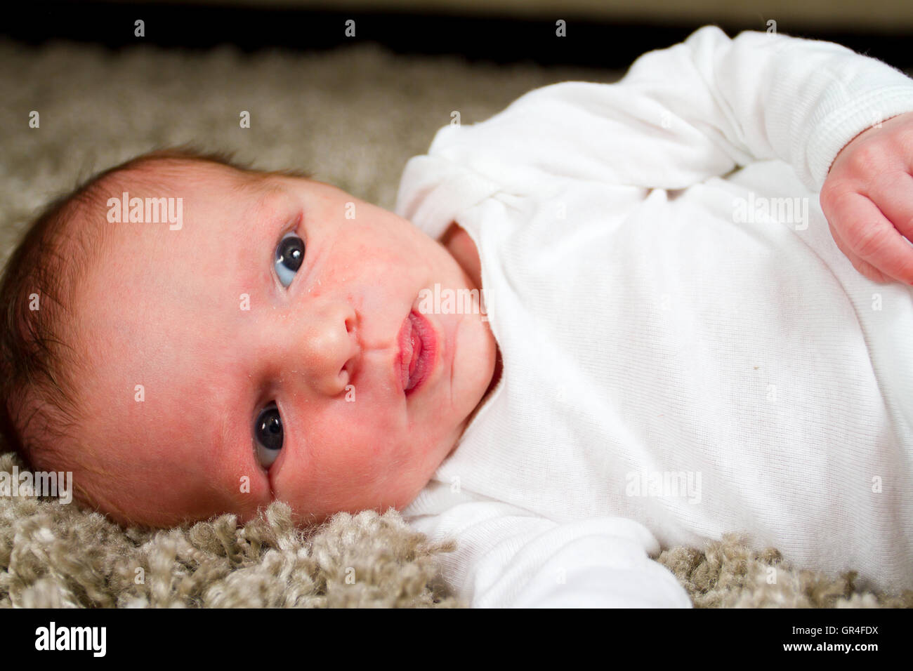 Newborn Baby Boy Stock Photo