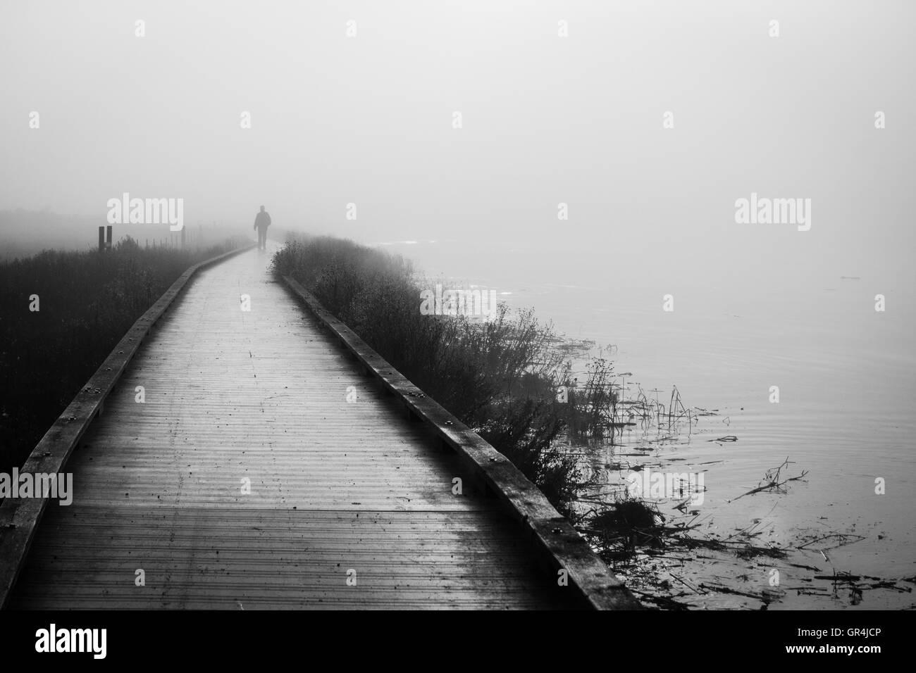 A lonely figure walking in the fog Stock Photo - Alamy