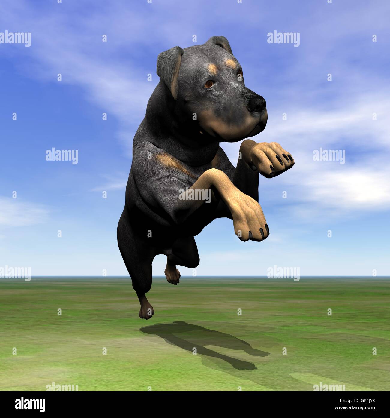Rottweiler dog jumping - 3D render Stock Photo - Alamy