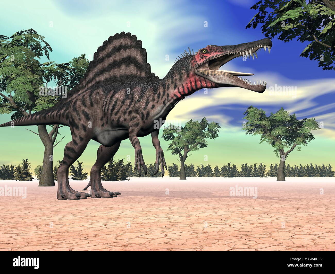 Spinosaurus dinosaur in the desert - 3D render Stock Photo