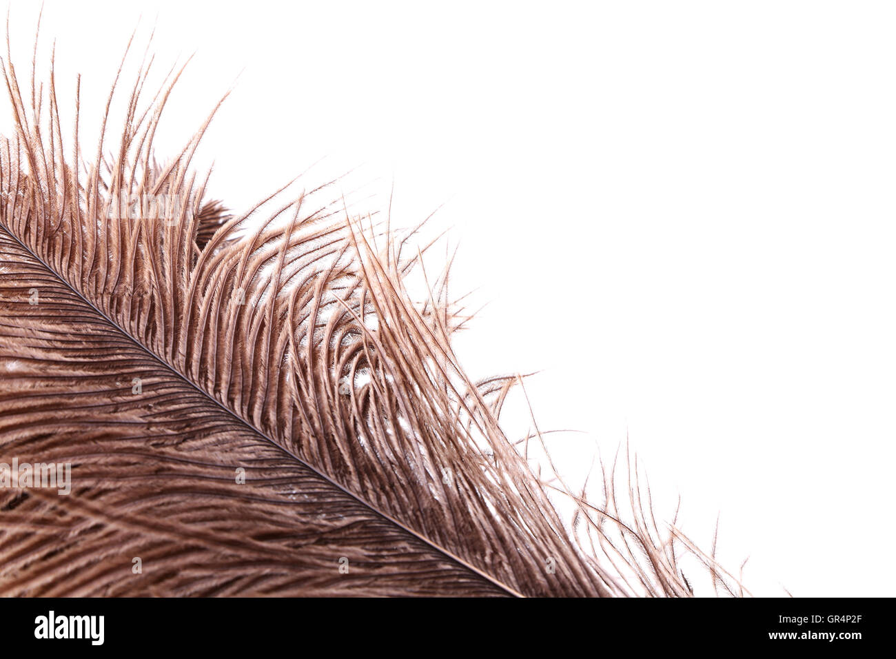 Brown feathers half background Stock Photo - Alamy