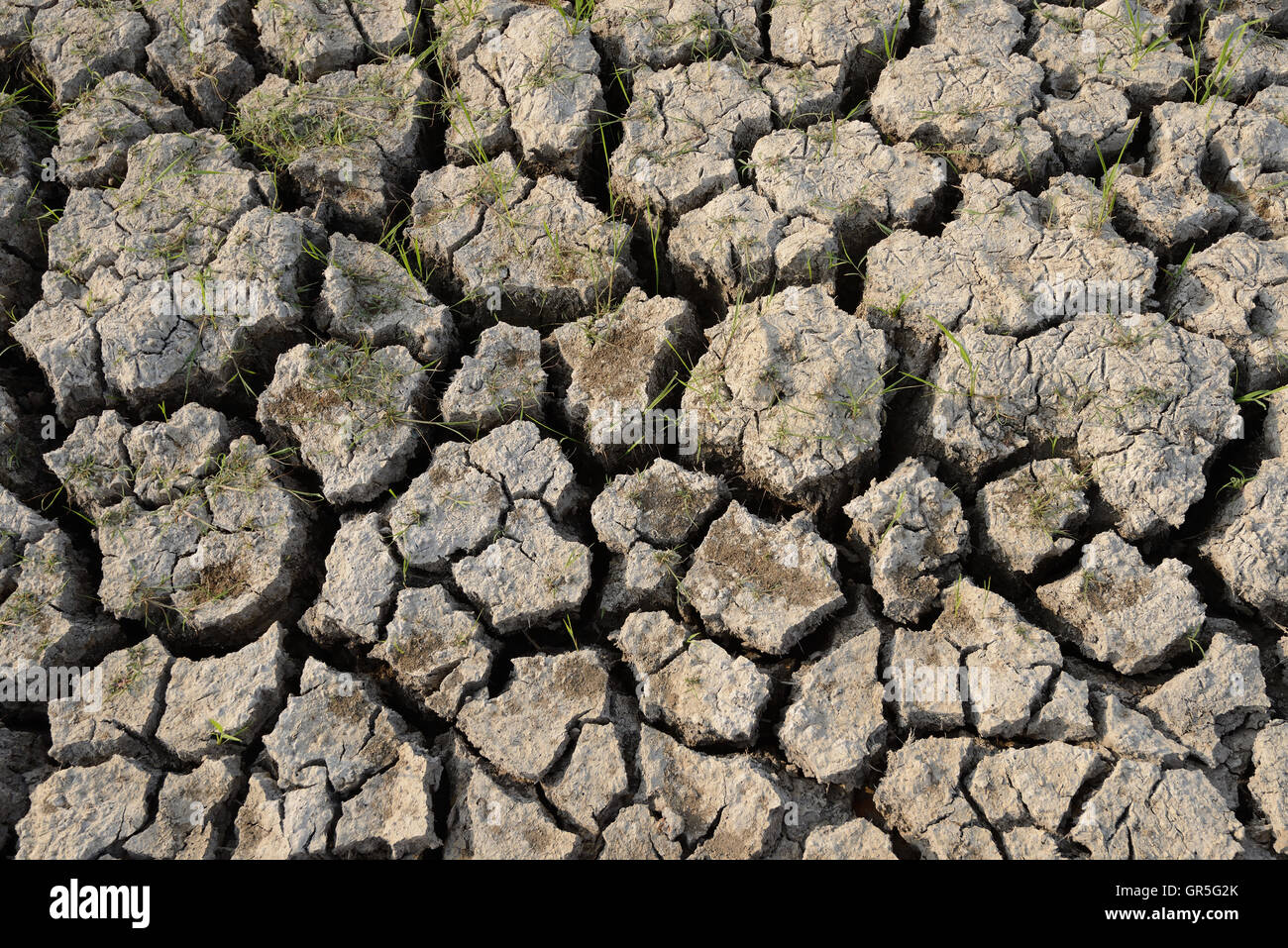 Crack Dry Soil Stock Photo Alamy