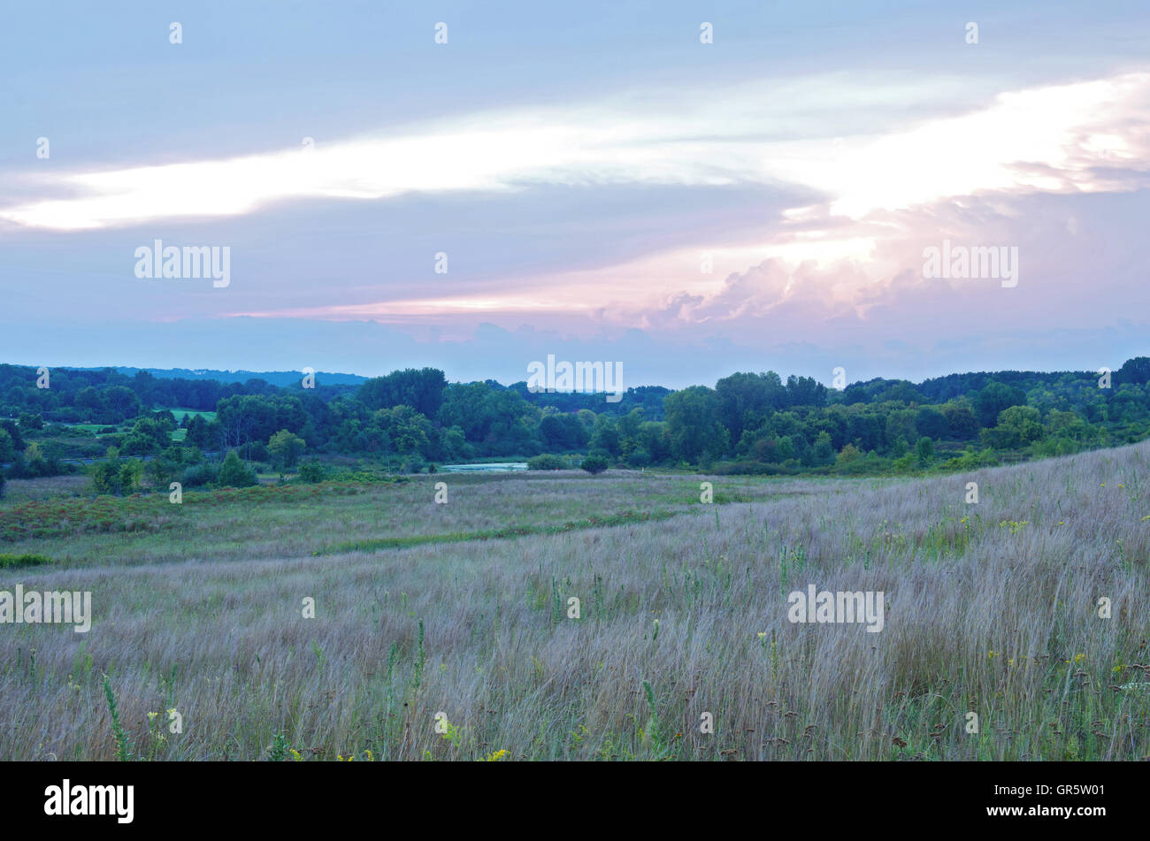 grey cloud dunes scientific and natural area in cottage grove minnesota