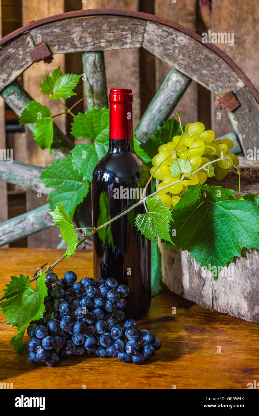 A bottle of wine on the background of the vine Stock Photo