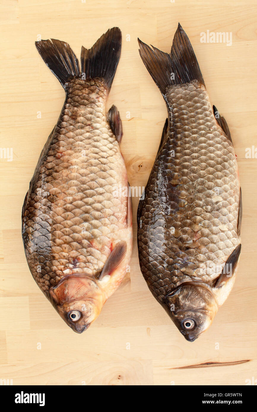 Crucian carp Stock Photo