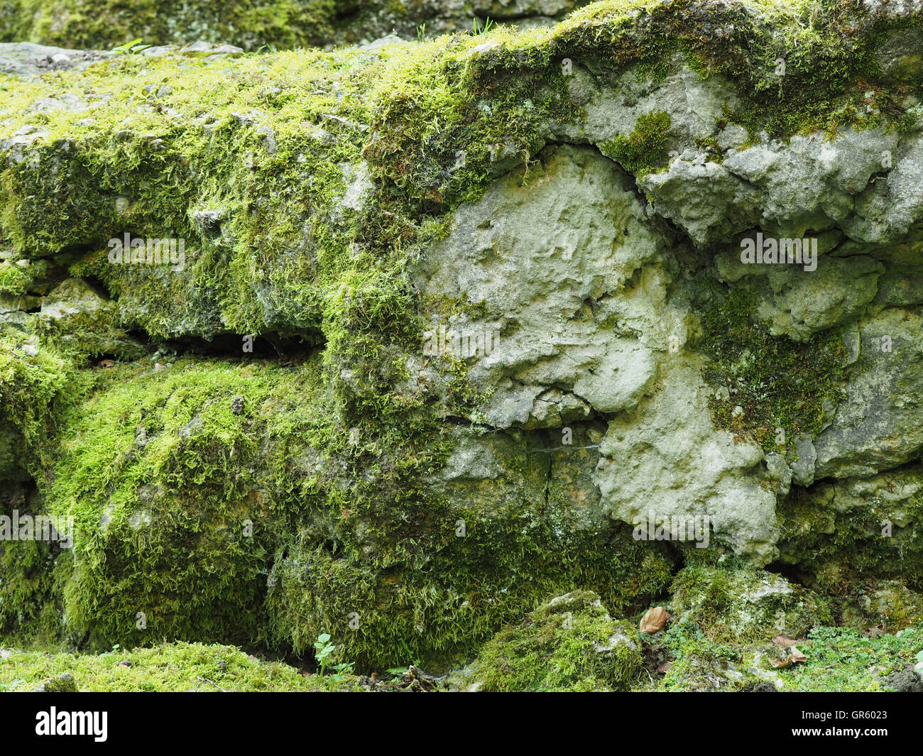 Natural texture of rocks with moss using a background Stock Photo
