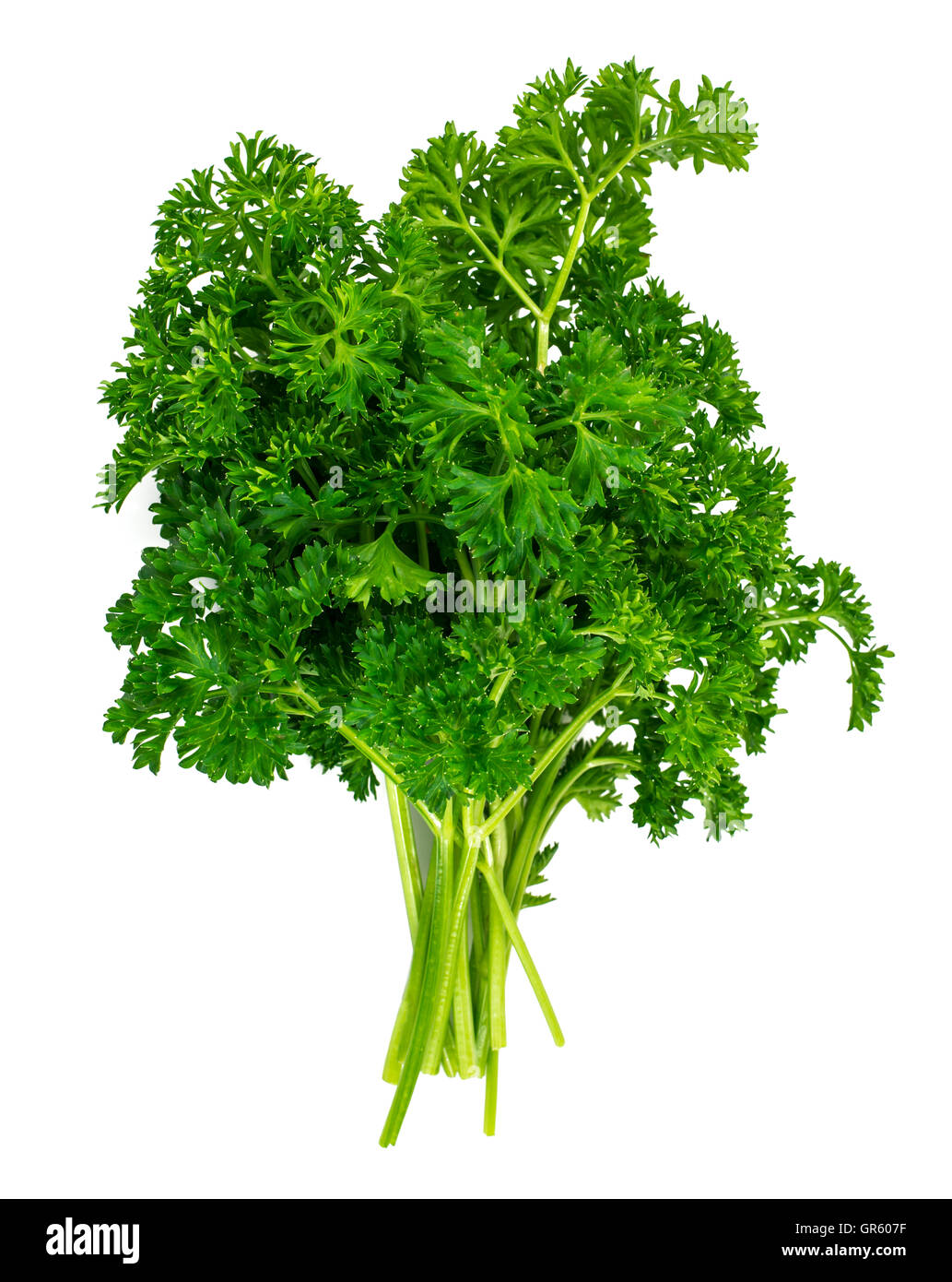 Fresh Green Parsley Isolated on White Background Stock Photo - Alamy
