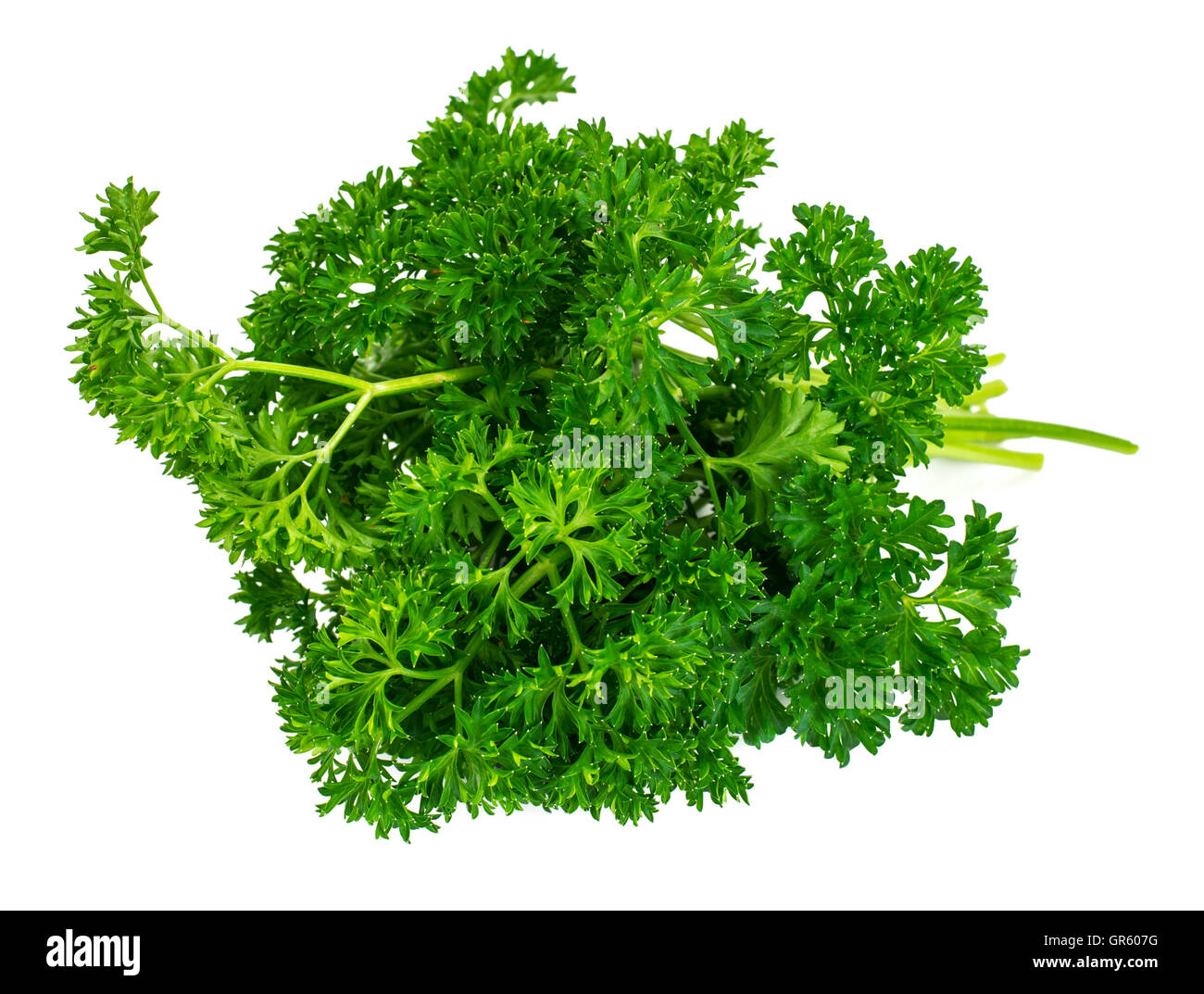 Fresh Green Parsley Isolated on White Background Stock Photo - Alamy