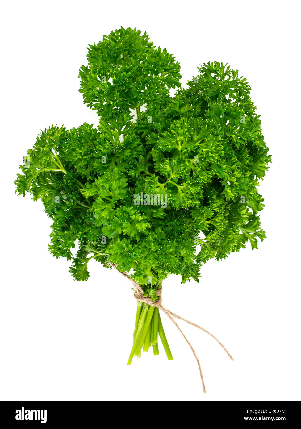 Fresh Green Parsley Isolated on White Background Stock Photo - Alamy