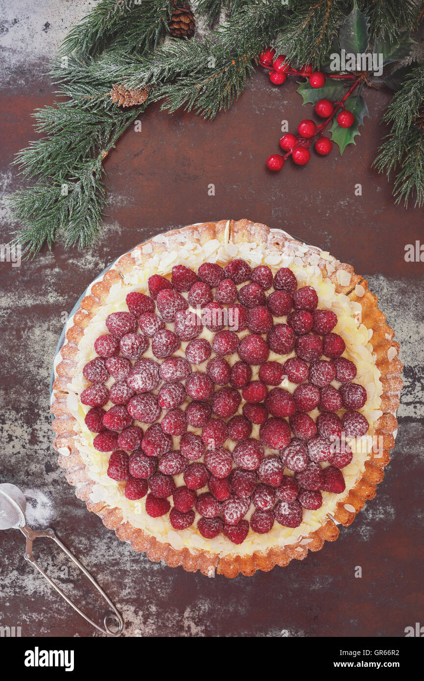 Raspberry tart with vanilla cream and icing sugar. Macro, selective focus, vintage toned image, blank space Stock Photo