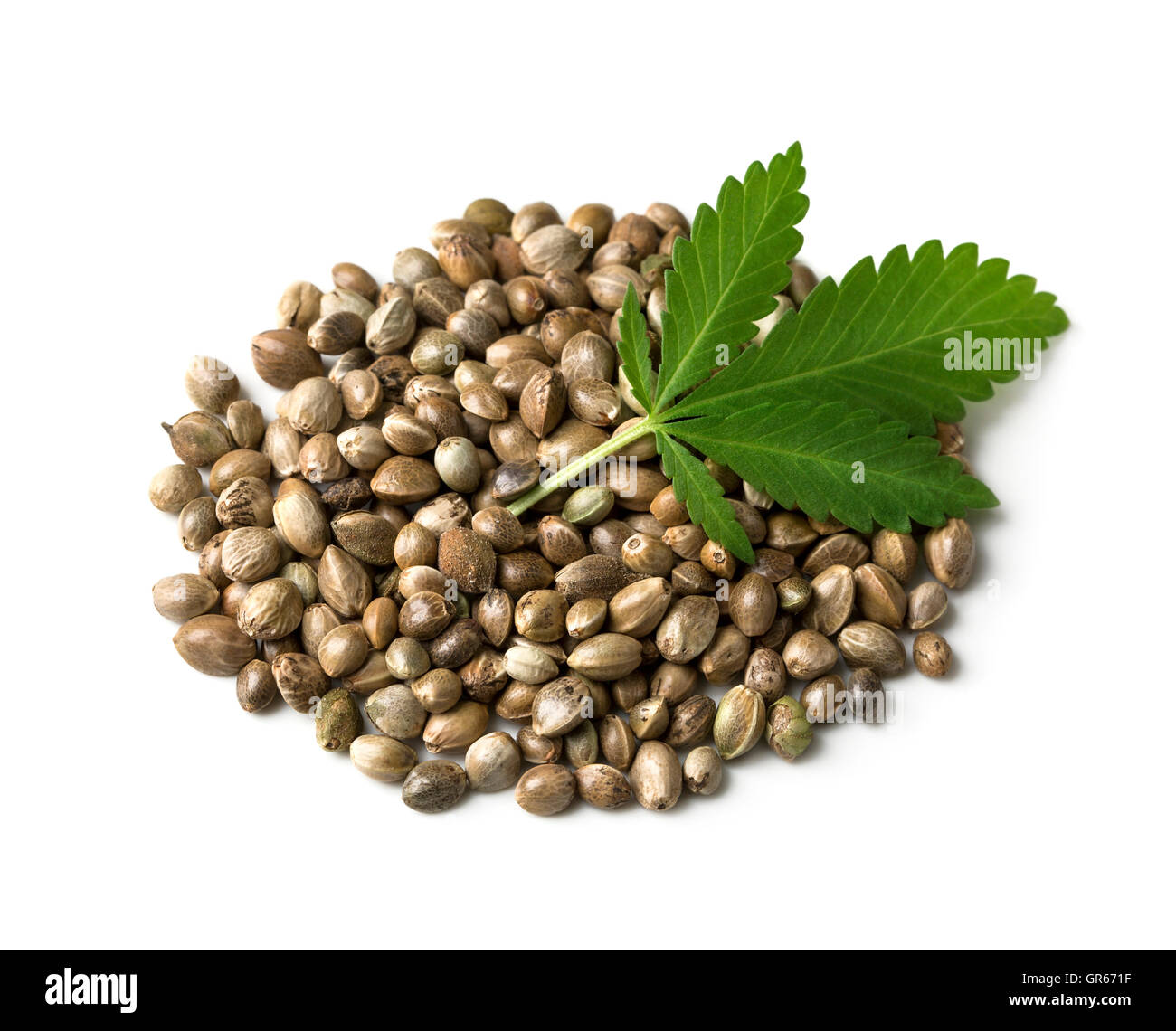 Hemp seed hires stock photography and images Alamy