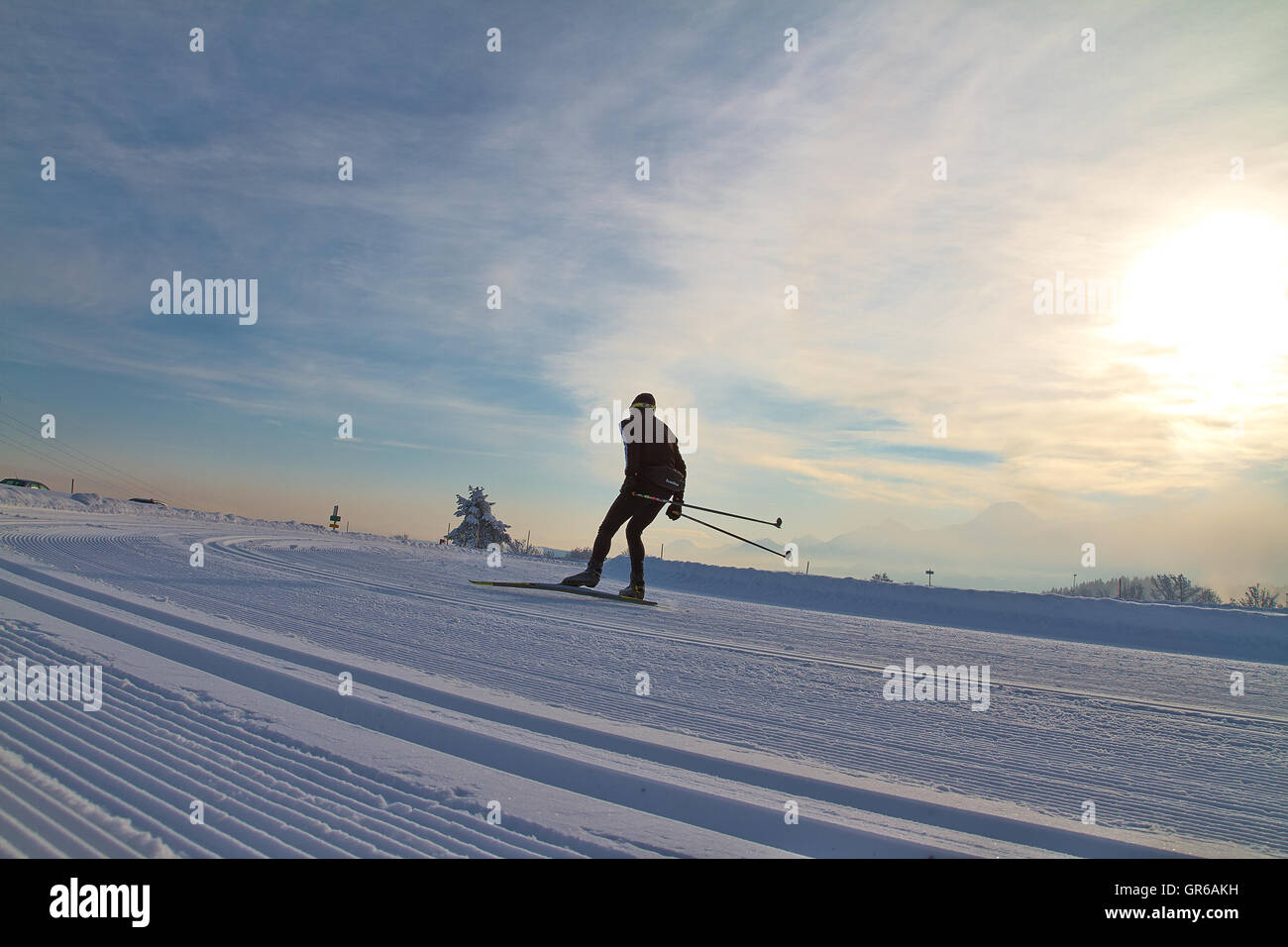 Cross Country Skater In Training Stock Photo - Alamy