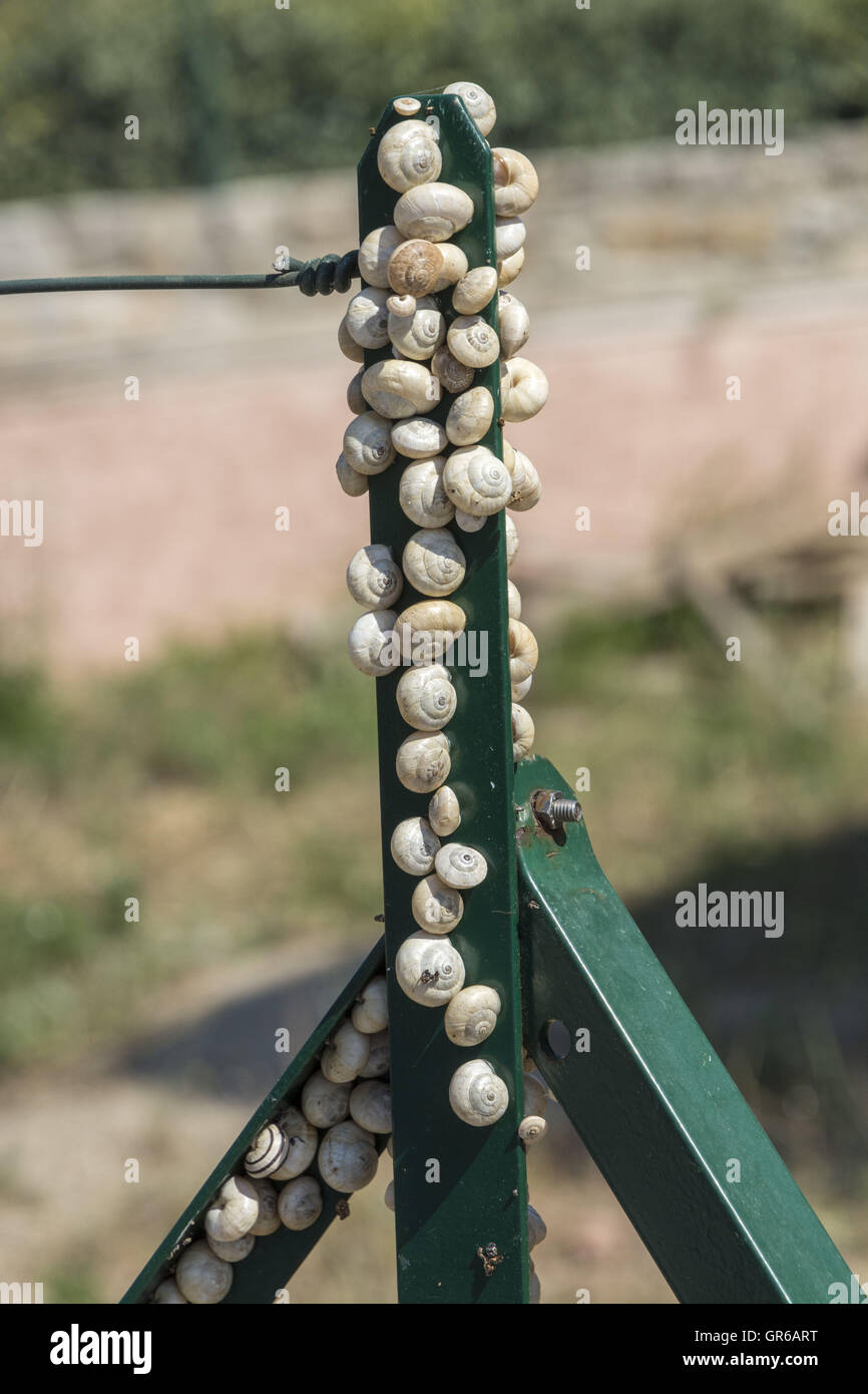 Worm fence hires stock photography and images Alamy