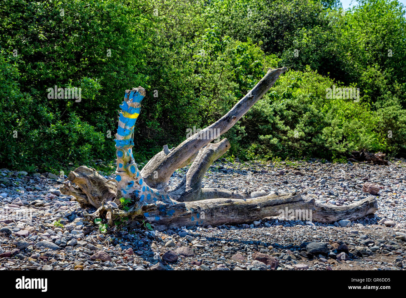 A Branch On The Beach Stock Photo - Alamy
