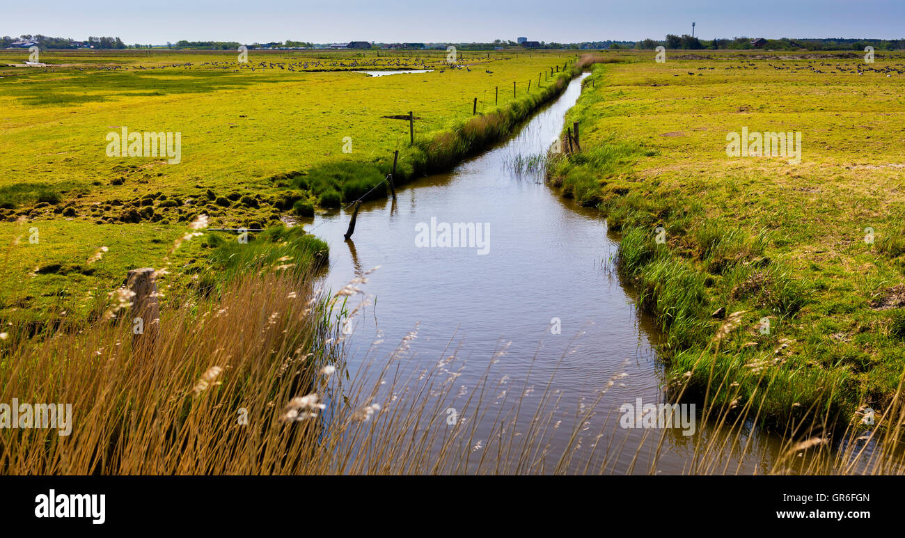 Small rivers and meadows hi-res stock photography and images - Alamy