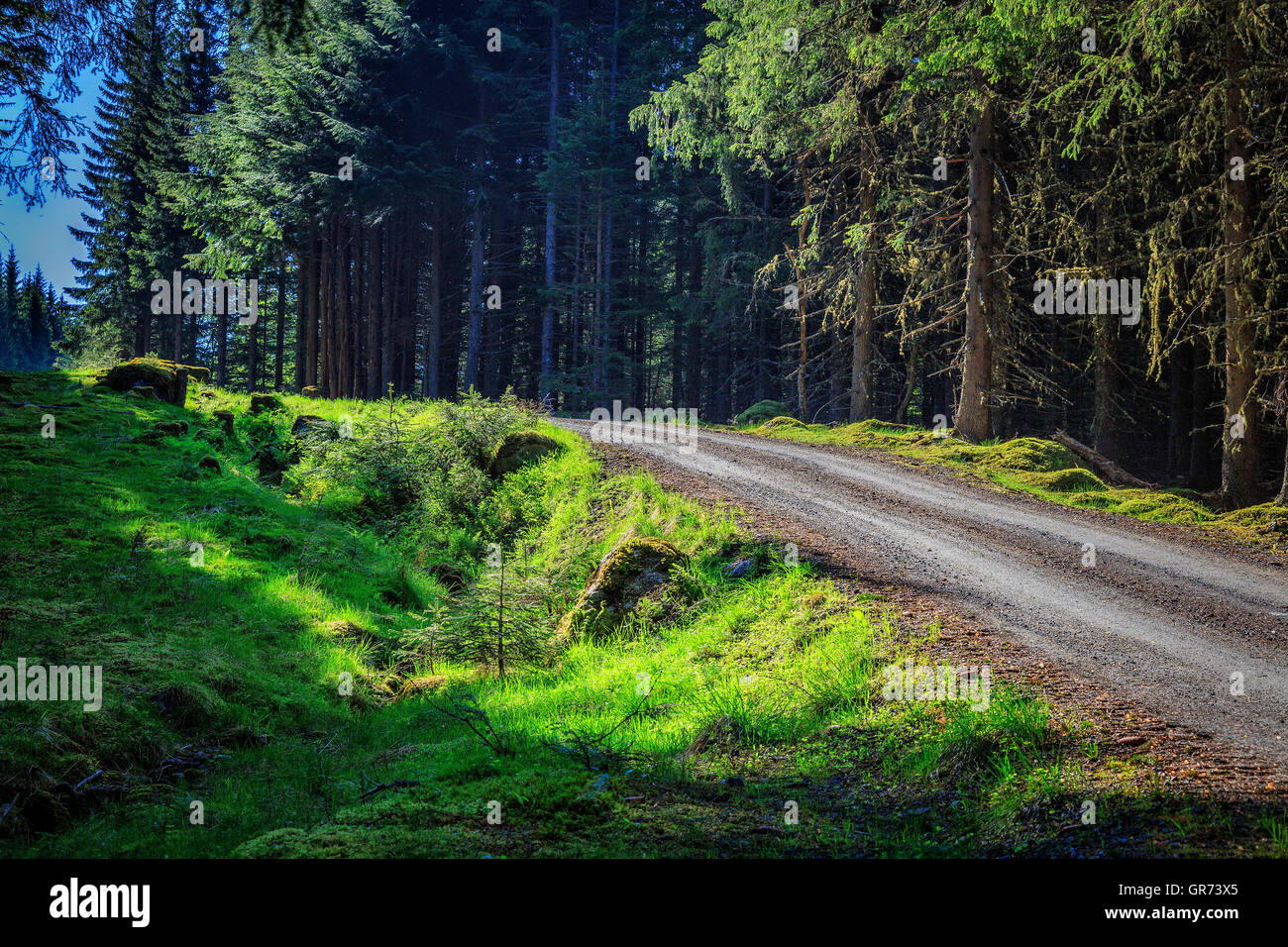 A dirt road through the hills in Norway. Stock Photo