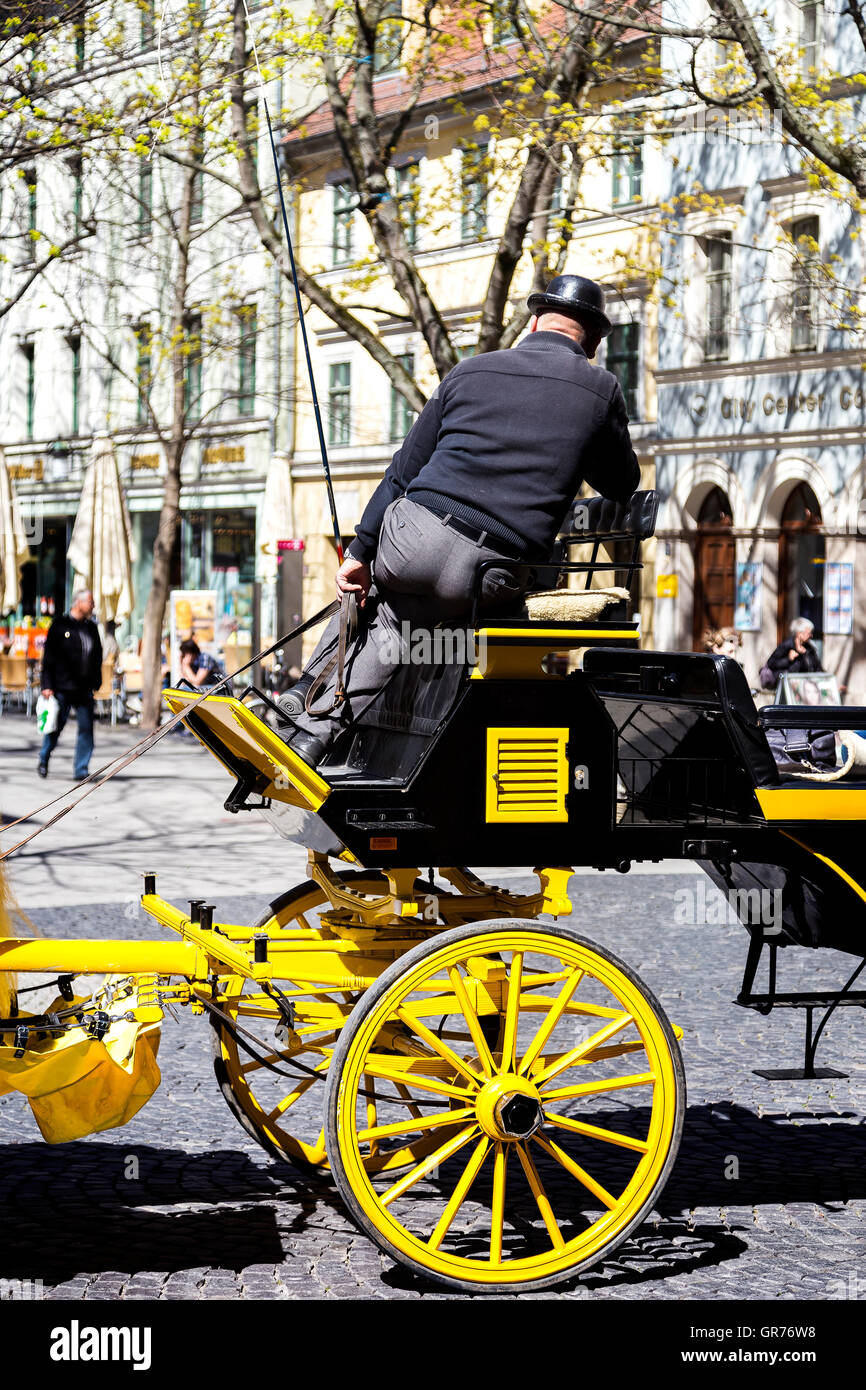Horse Carriage Ride Stock Photo
