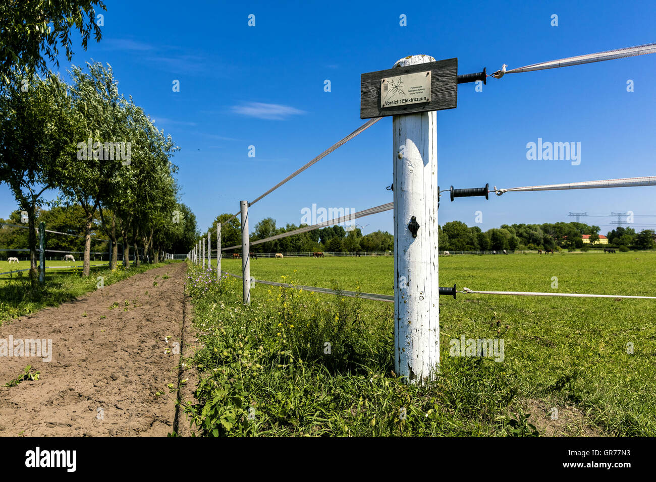 Electric fence horse paddock hires stock photography and images Alamy