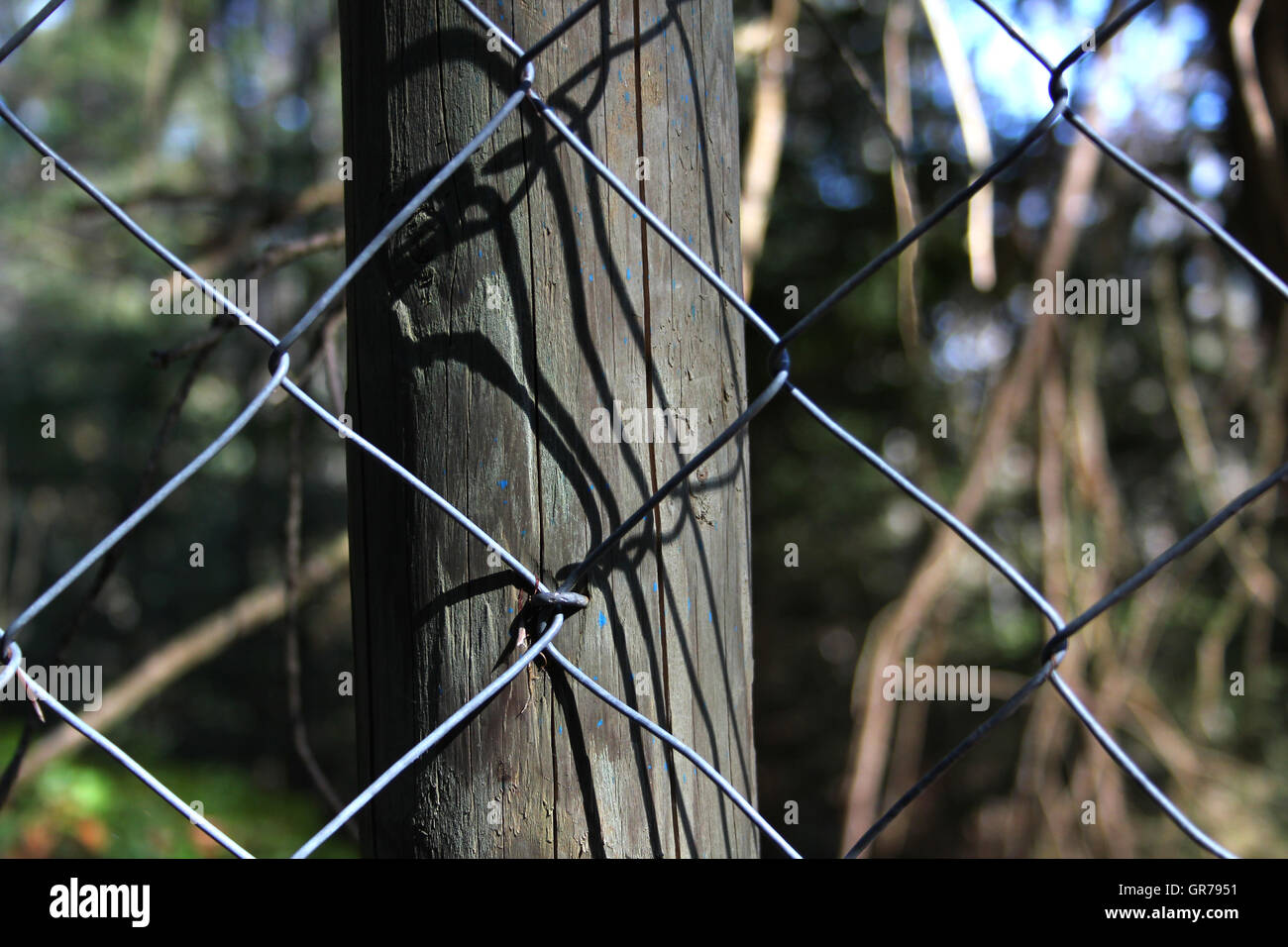 Fence Stock Photo