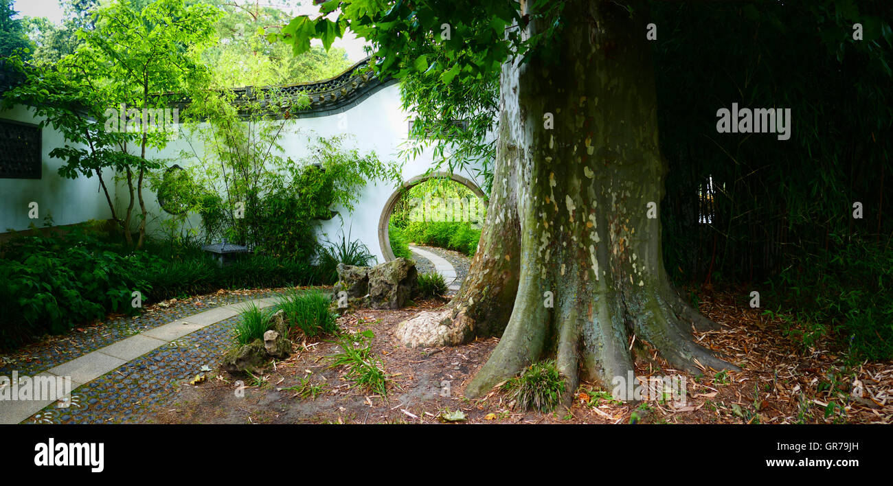 Traditional Chinese Garden in financial city Frankfurt am Main Germany