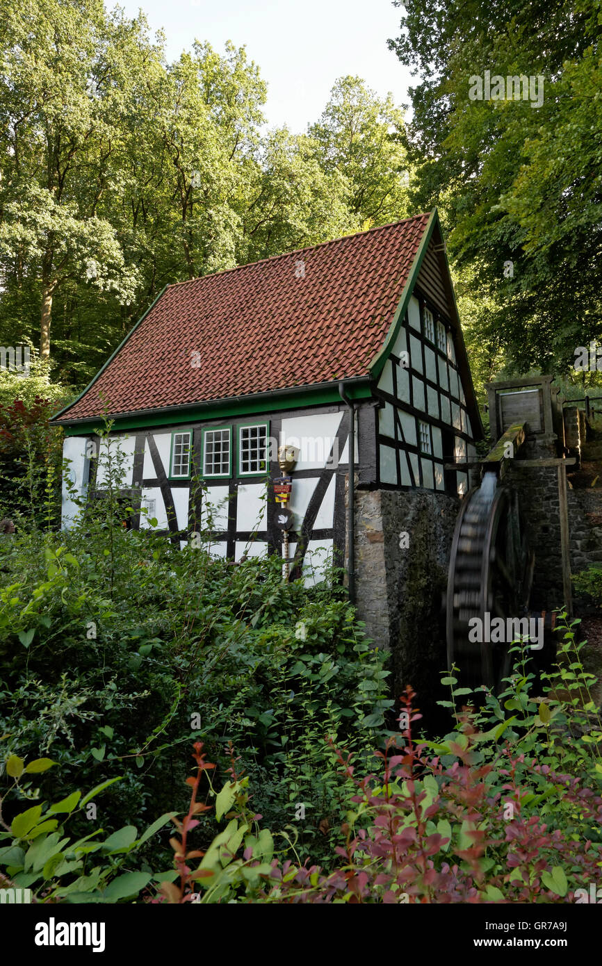 Bad Essen, Water Mill In The Osnabrueck Country, Germany Stock Photo