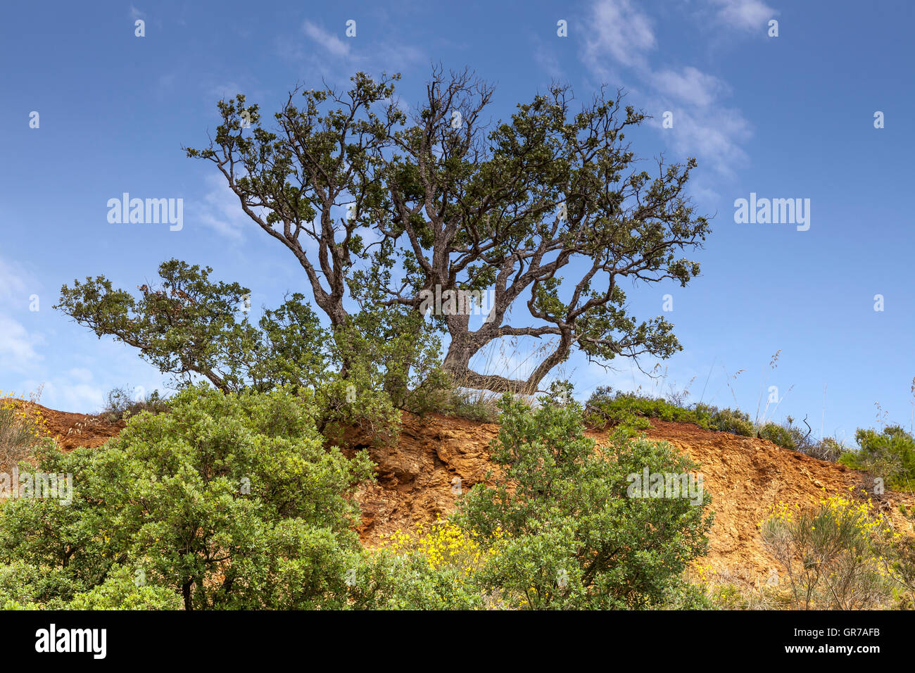 Lake azzurro hi-res stock photography and images - Alamy