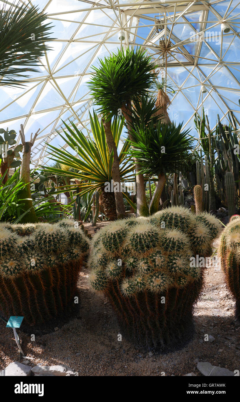 Grugapark Botanic Garden Essen Northrhein Westfalan Germany Europe