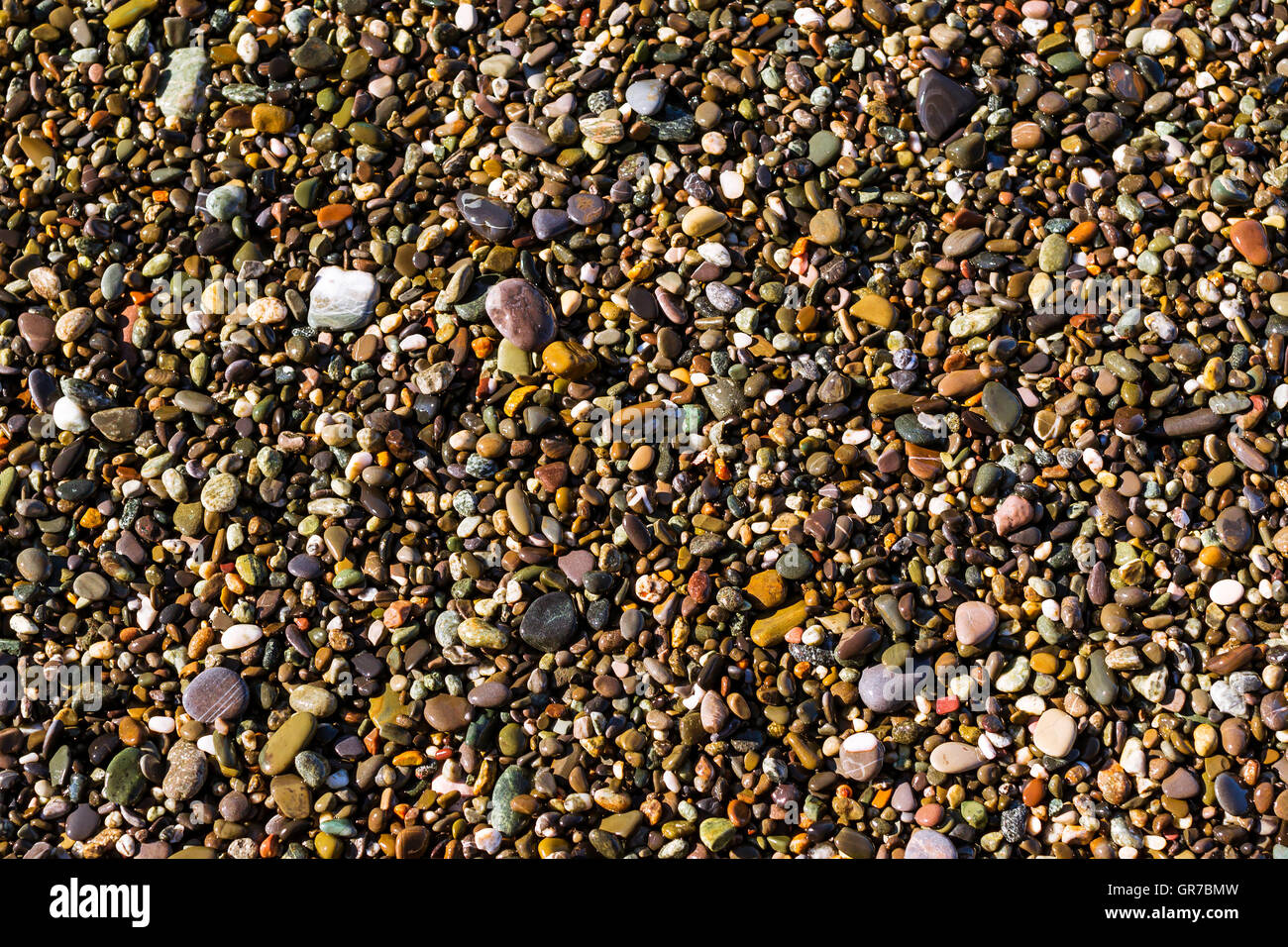 Sea pebbles, shore of beach is covered in glittering sun stones. Stone ...