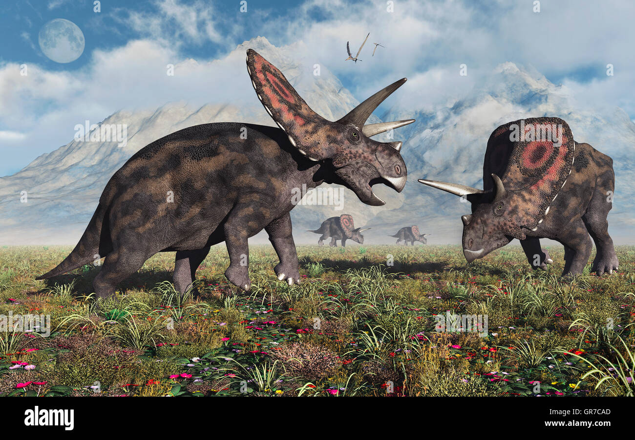 Torosaurus Herbivore Dinosaurs. Stock Photo