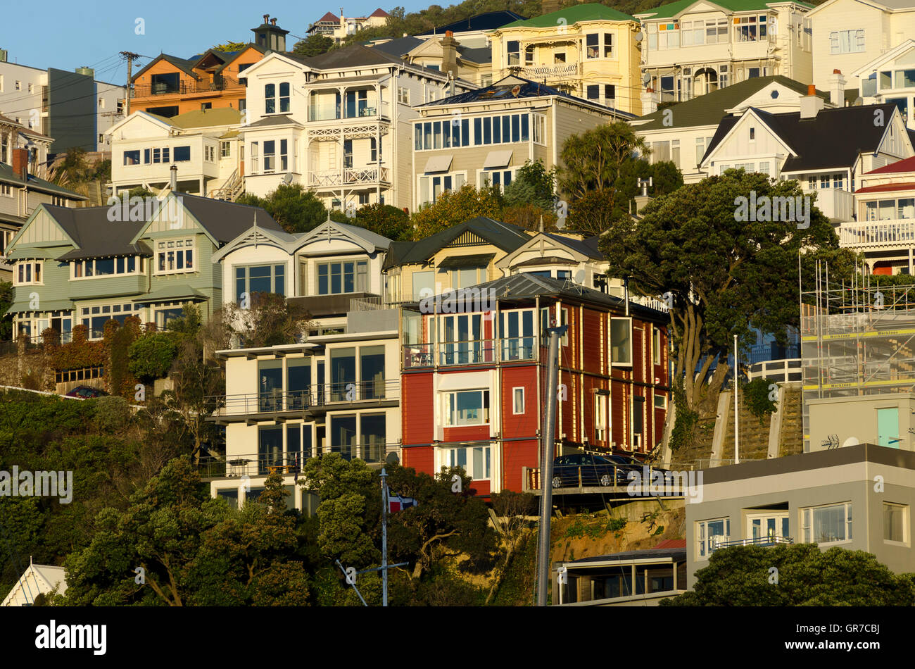 Houses on hillside, Mount Victoria, Wellington, North Island, New