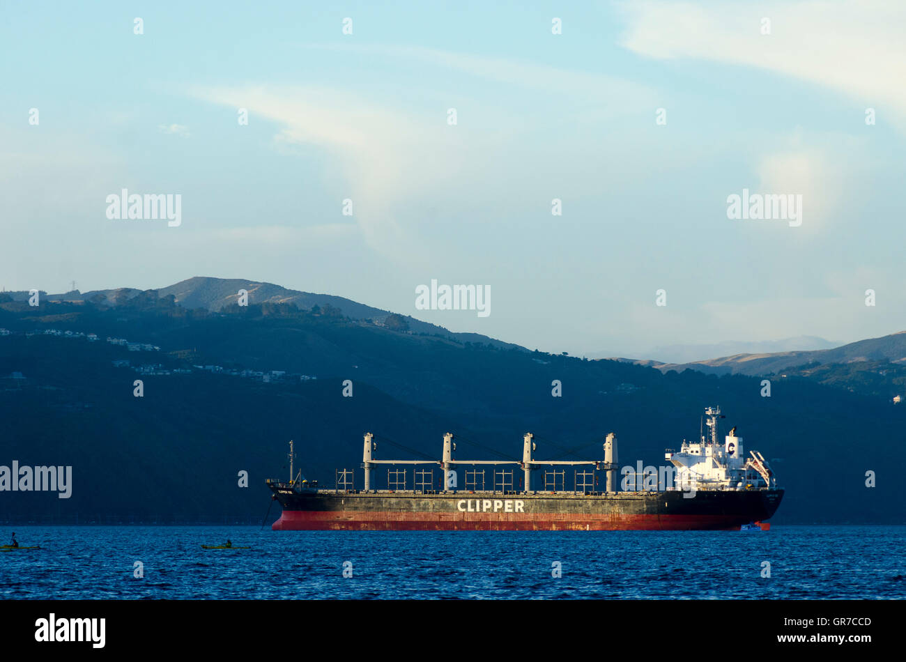 Cargo ship anchored in Wellington harbour, North Island, New Zealand Stock Photo