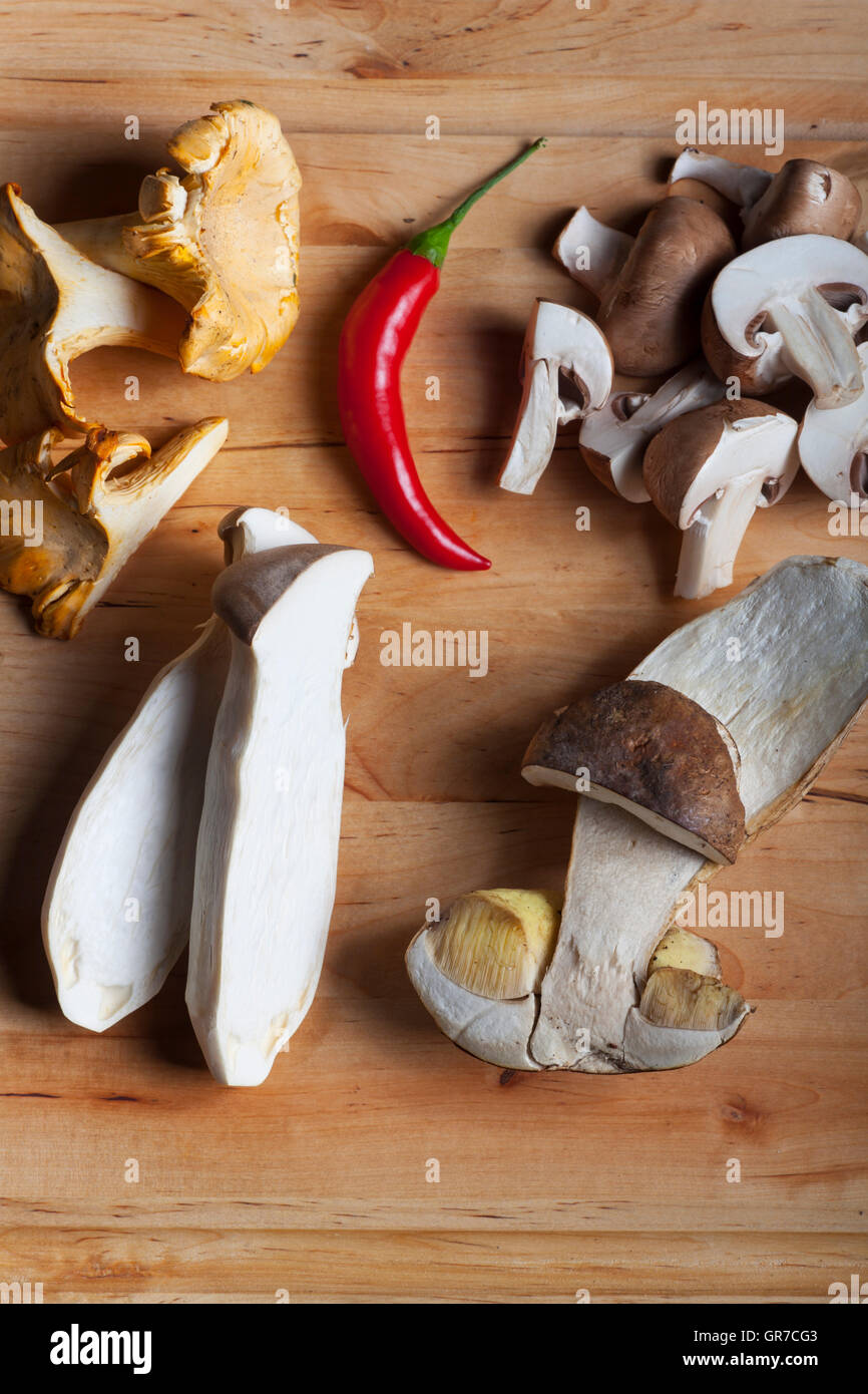 Edible Mushrooms Stock Photo