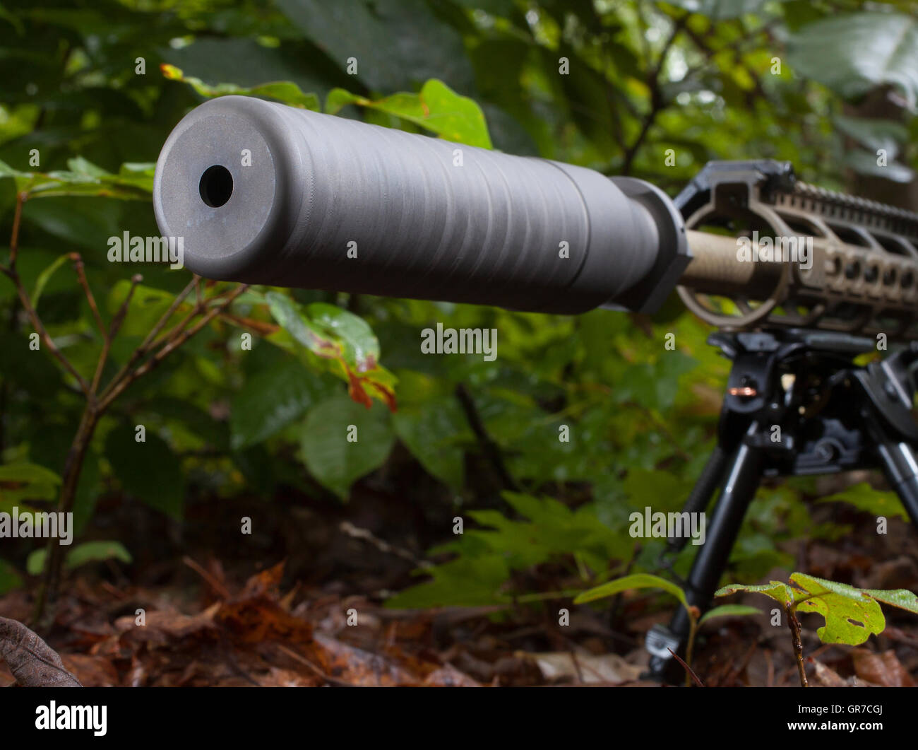 Suppressor that is mounted on a rifle that is in the bushes Stock Photo ...