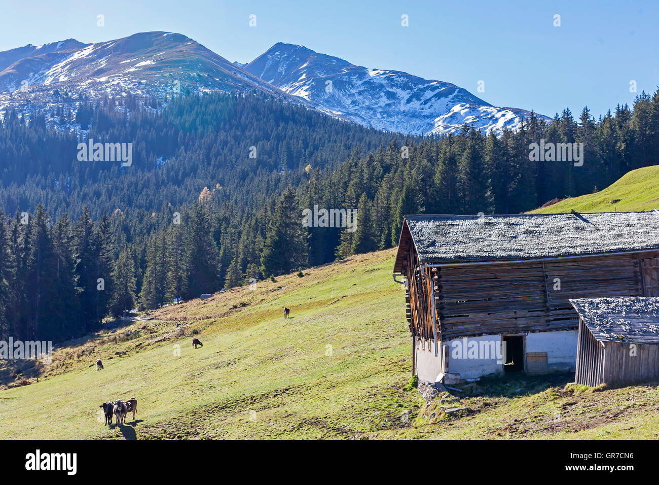 Mountain Landscape With Hay Hut In Val Medel In Switzerland Stock Photo