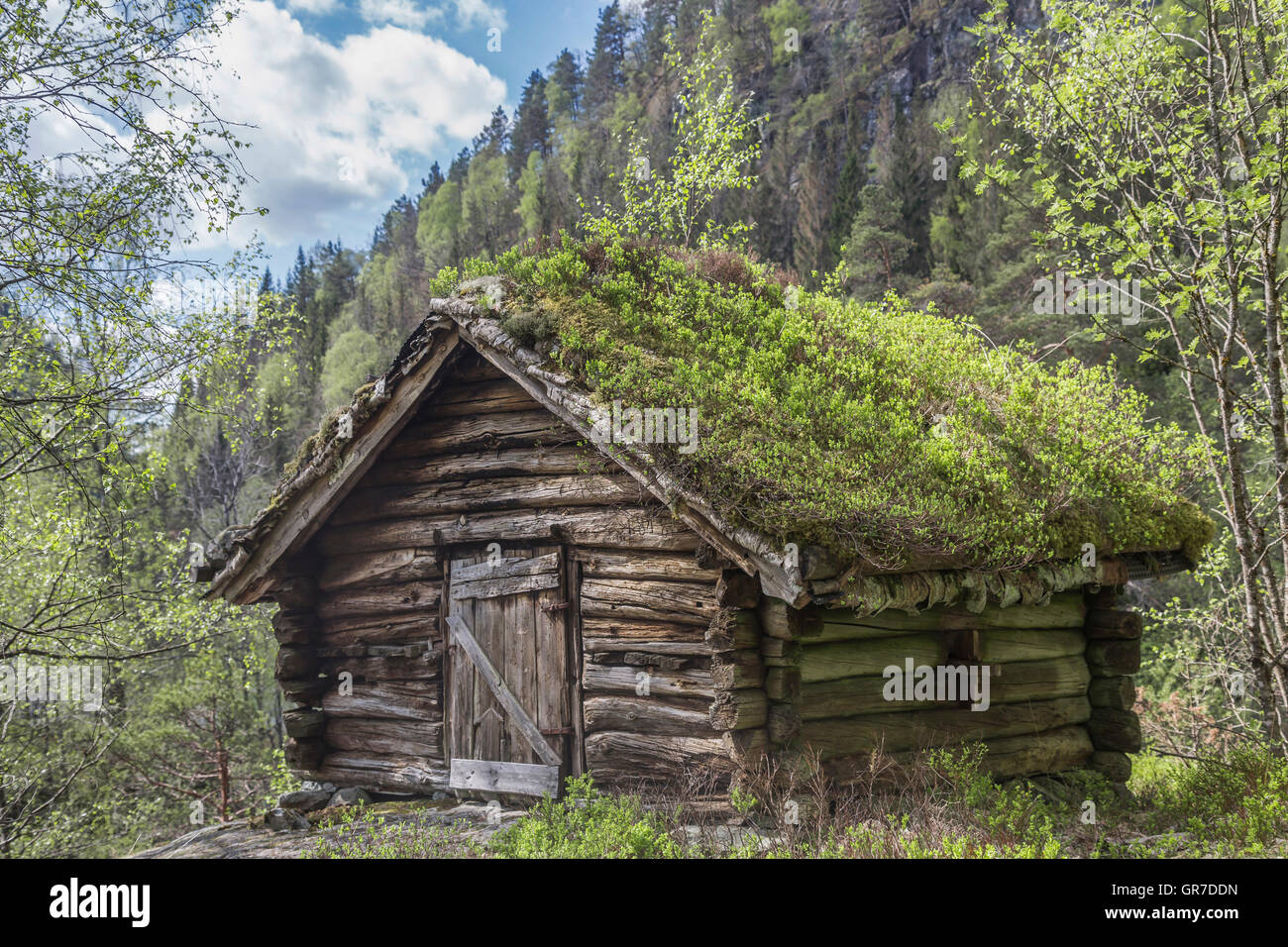 Barn Of An Old Norwegian Farm With Grassy Roof Stock Photo Alamy