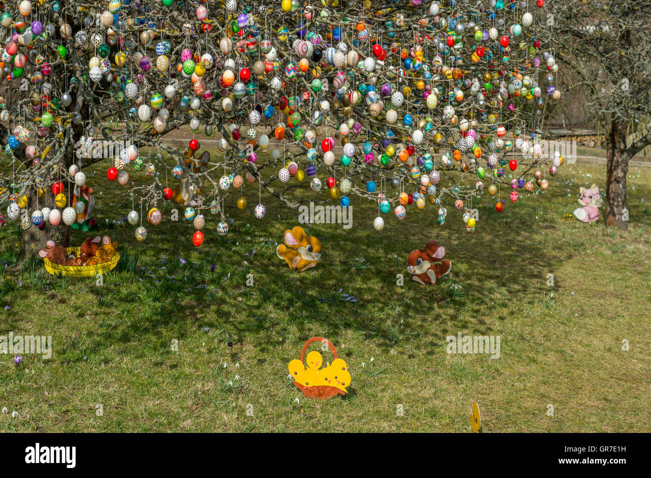 Easter egg tree germany hires stock photography and images Alamy